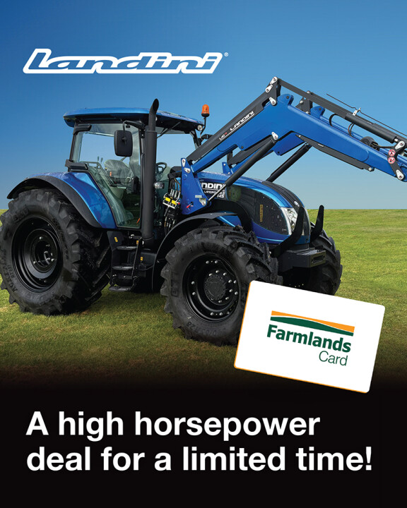 Sales promotion image