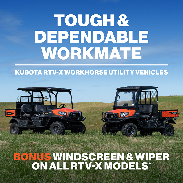 25 CAMP428 Promo Page Tile 768x768